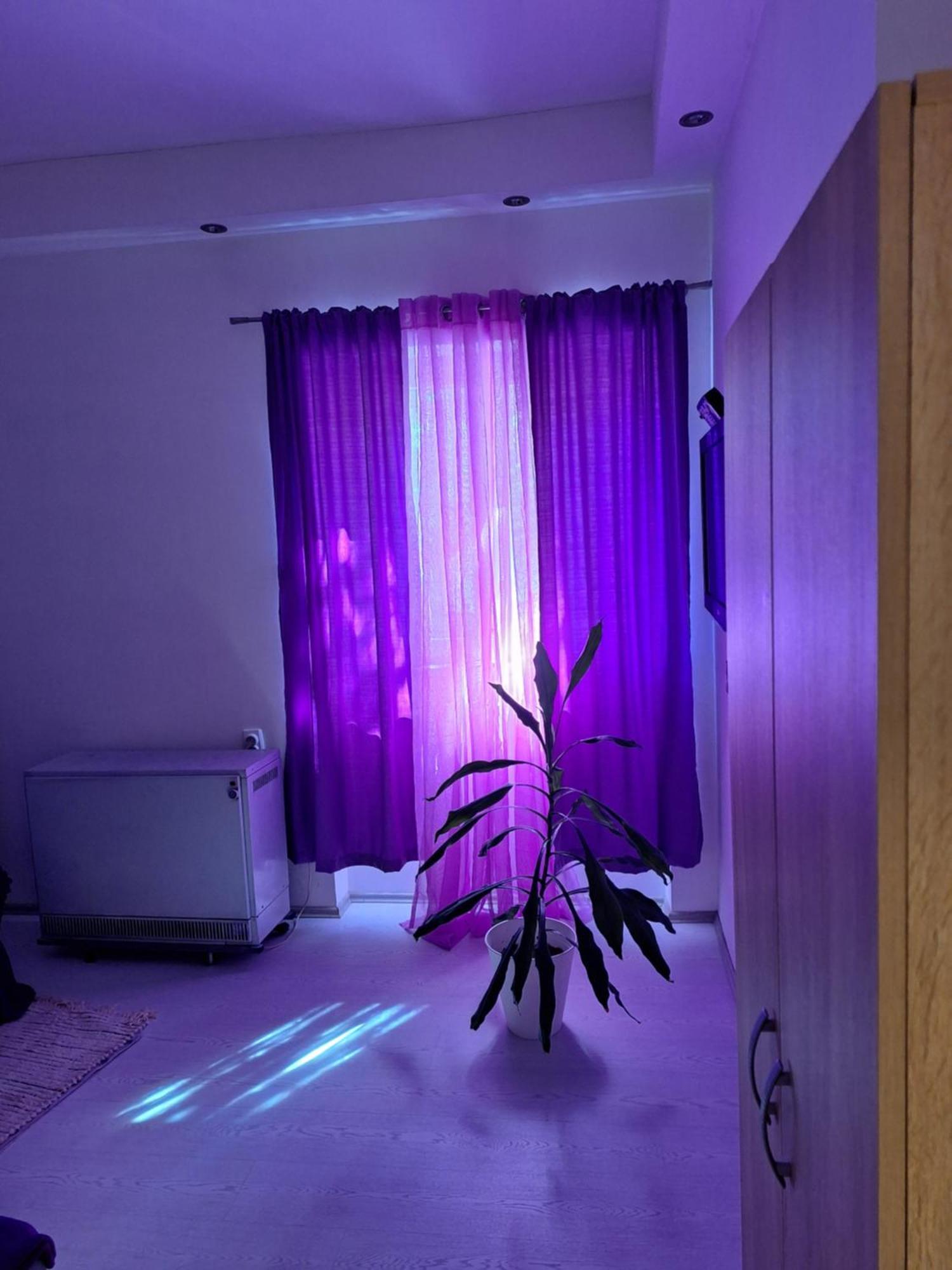 Apartman Maja Belgrado Exterior foto
